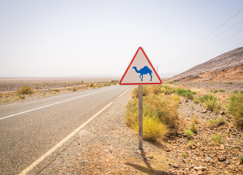 3-Day Marrakech to Fez Desert Safari Private Tour favBt7Bc