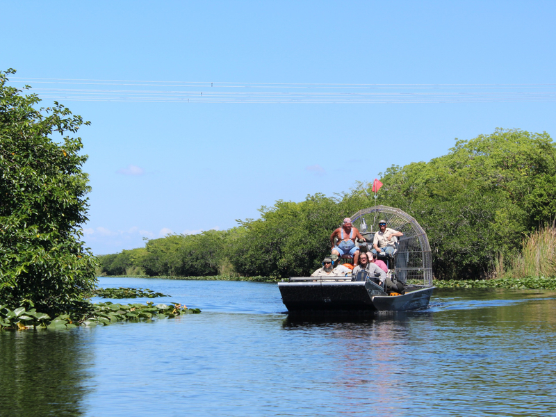 Miami Everglades Holiday Park Half-Day Wildlife Tour fRdK5W1t