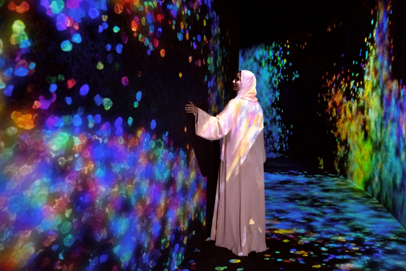 teamLab Phenomena Abu Dhabi Ticket 29a2MFsp