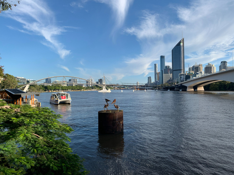 Brisbane Insights Tour LDsOWEAZ