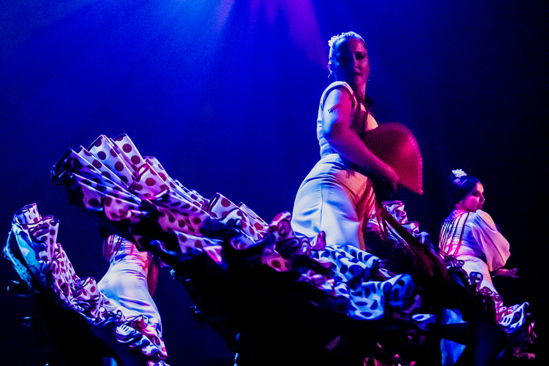 Pasion Flamenco Show in Seville FaztZpIH