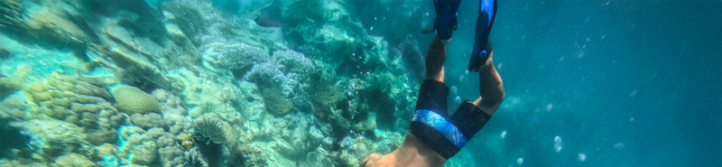 Nha Trang Half-Day Snorkeling Adventure with BBQ Onboard WDAt3ax8