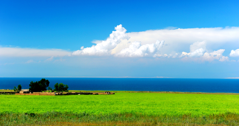 Qinghai Lake + Chaka Salt Lake 1-Day Tour (Round trip from Xining) JtgdlV6I