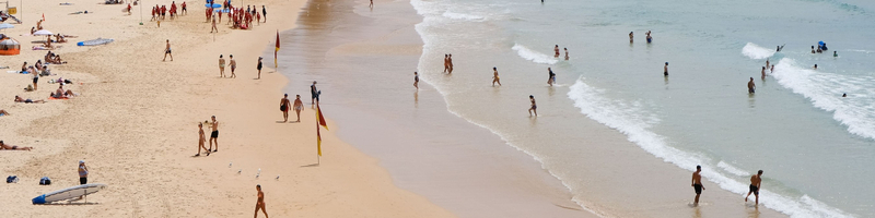 Sydney Northern Wilderness and Coastal Tour nVhXnj8j