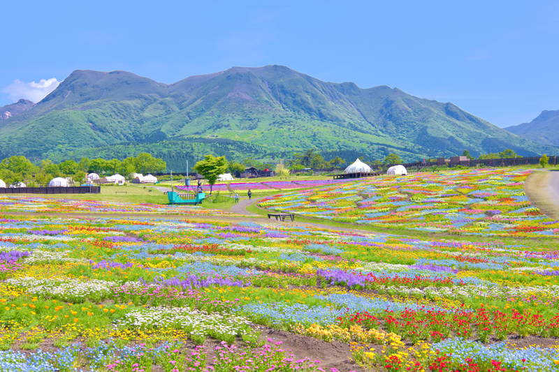 Beppu & Yufuin & Oita Private Car Tour with Driver I1hduW5G