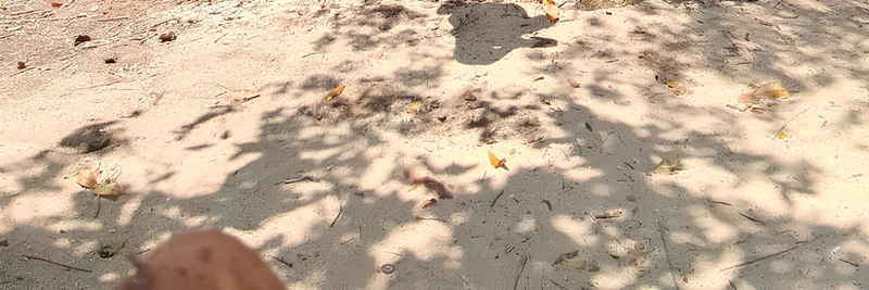 Half-Day Rangko Cave and Sand Island Tour from Labuan Bajo 8UsiK5K2