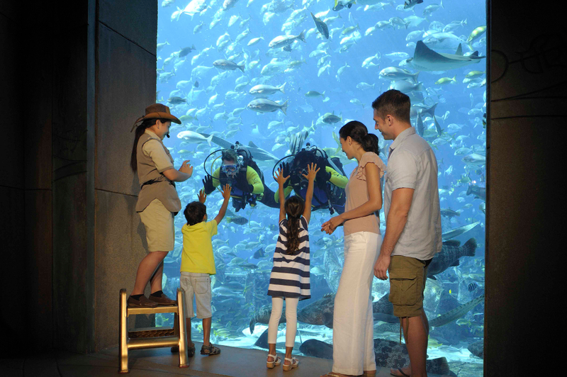 Atlantis Aquaventure World Dubai - The Lost World Aquarium Ticket kH49ZMXd