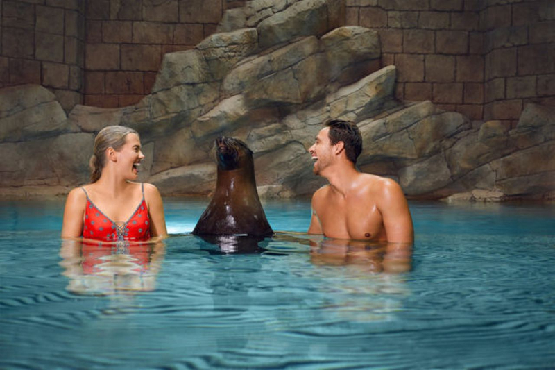 Atlantis Aquaventure World Dubai - Dolphin and Sea Lion Experiences at Atlas Village Sp1tYal9