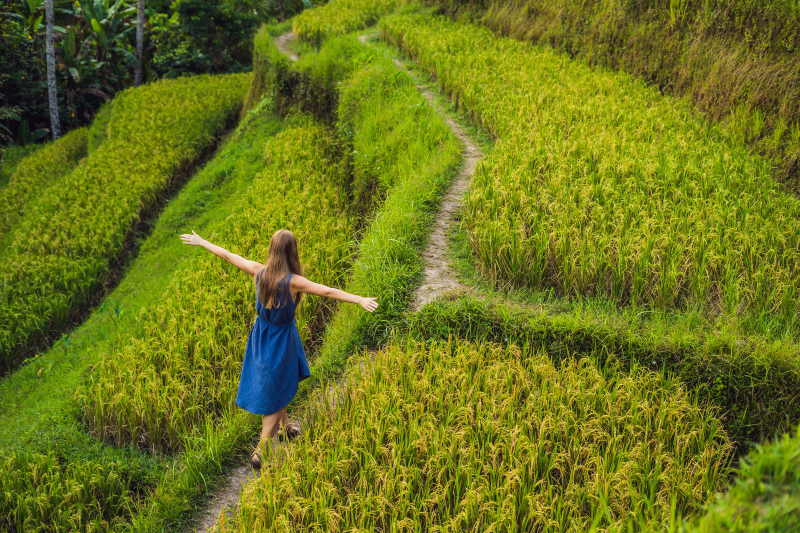 Bali Jatiluwih Terraces & Nuanu City Full-Day Cultural Tour YGvioCi7