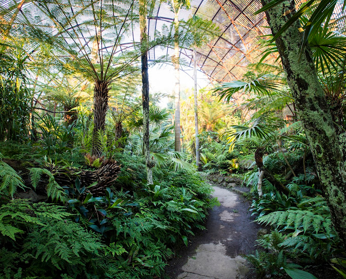 Rippon Lea Estate Ticket cPmwpRDu