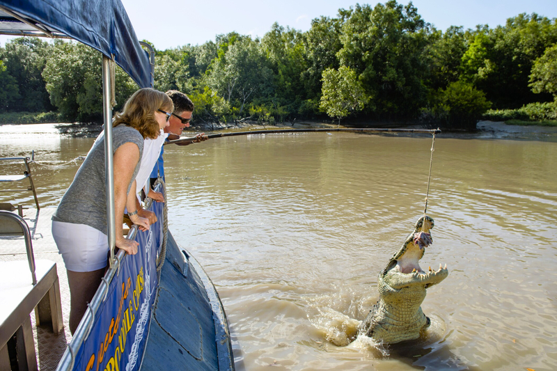 Jumping Crocodile Cruise Exclusive Wildlife Adventure Tour VJRMQbys