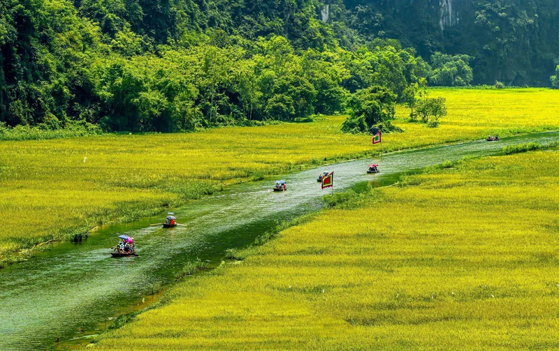Ninh Binh Day Tour from Ha Noi: Hoa Lu, Tam Coc, Mua Cave  NV039fbt