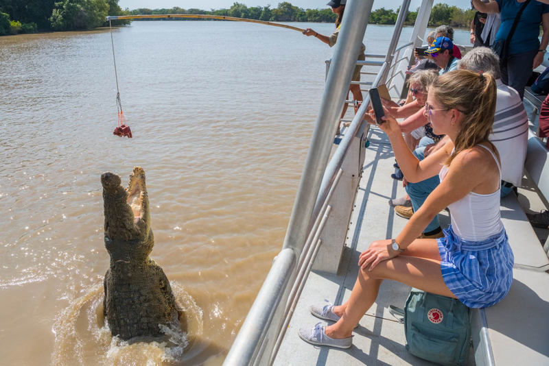 Jumping Crocodile Cruise Tour from Darwin zB37E9Ln