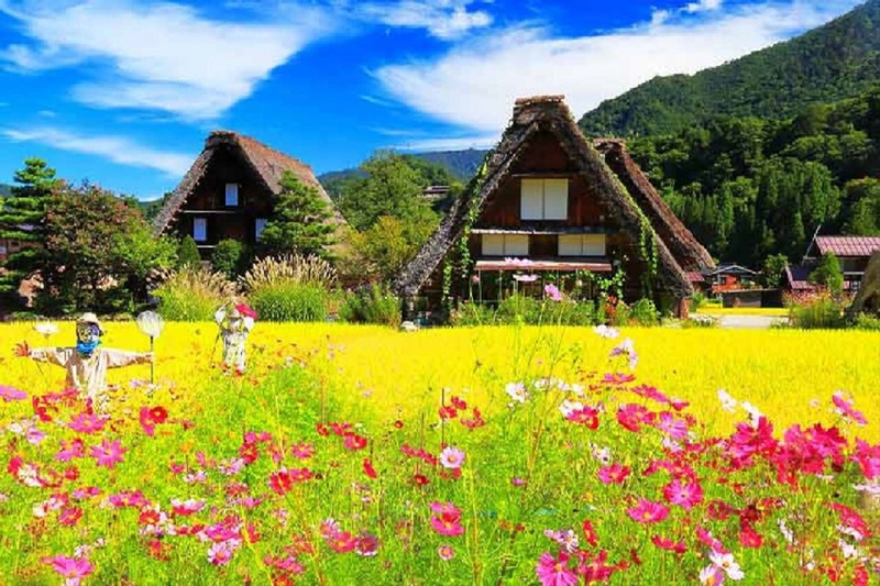 Shirakawa-go Gassho Village & Hida Takayama Day Tour  (from Nagoya) MNx7XSUX