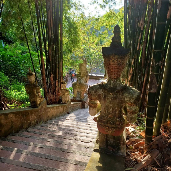 Chiang Mai: Wat Phra That Doi Suthep & Wat Pha Lat Evening Tour quYgc5SZ