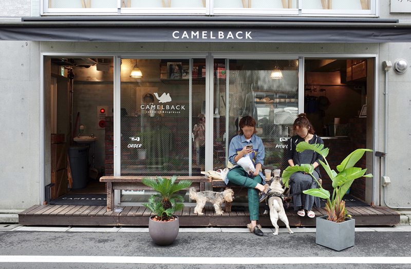 Shibuya: E-Bike Tour of Tokyo's Most Expensive Hidden Neighborhood XLcPZUYP