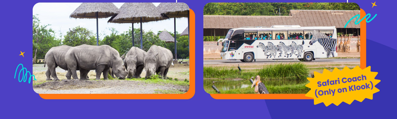 Safari World Bangkok Ticket with Private ALPHARD transfer fPgQY4uA