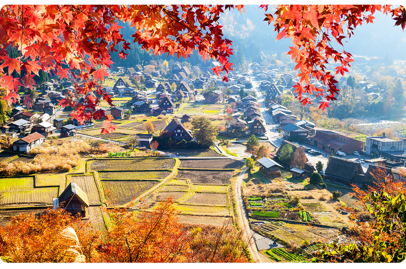 Hida Takayama & Shirakawa-go Gassho Village Day Trip (Departing from Nagoya, optional observatory tour included) LmVGeewB