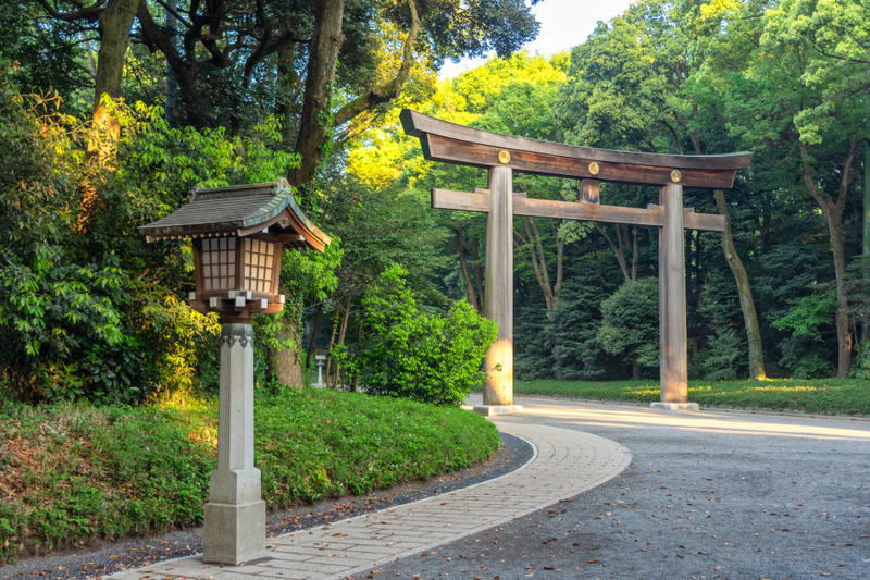 Half-Day Tokyo Afternoon Small Group City Exploration Tour iLGem4mR