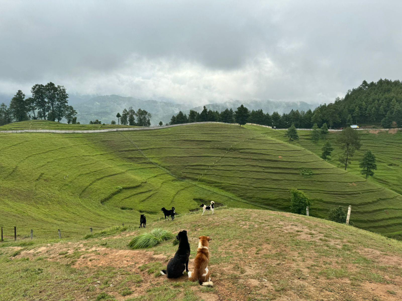 From Kathmandu: Chitlang Day Tour, Wine Tasting and Short Hike AxHNTdjX