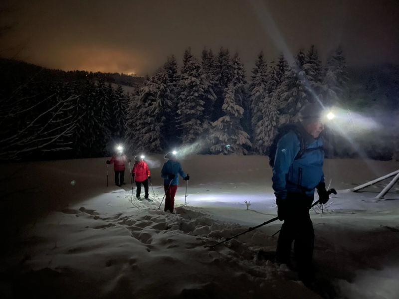 Rovaniemi Night Snowshoeing Experience aPQJweDQ