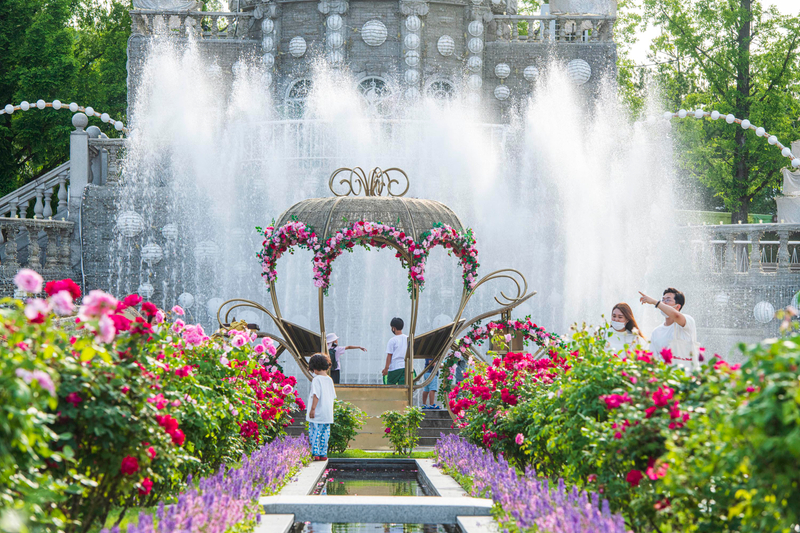 EVERLAND & LOTTE WORLD 2-DAY TOUR rnypgQ2l