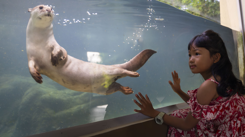 Full Day Pass | Angkor Wildlife & Aquarium SgMGlALT