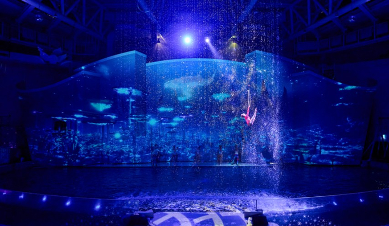 [Non-Korean] [Jeju] Hanwha Aqua Planet Discount Ticket 3O1JNysc