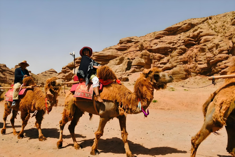 Zhangye Rainbow Danxia + Pingshan Lake Grand Canyon Day Tour (Optional Off-Road Vehicle and Camel Riding) rkUYCCB8