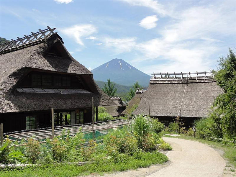 Mount Fuji Private Chartered Day Trip (From Tokyo) zvNp8YGG