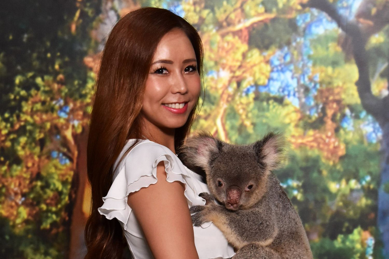Cairns Koalas and Creatures at the Pier Ticket c3quRJwb