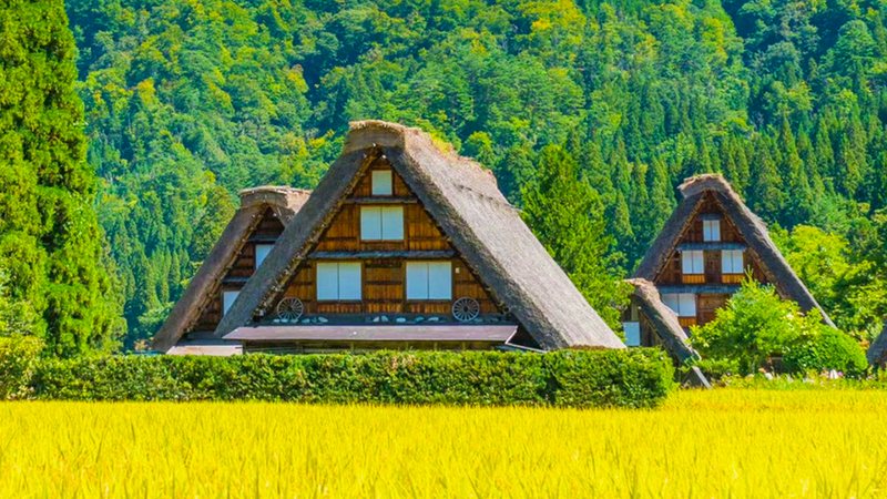 Shirakawa-go Gassho Village & Hida Takayama Old Town One-Day Tour (Departing from Nagoya) - Guaranteed Departure for 1 Person 1X7UjH6R