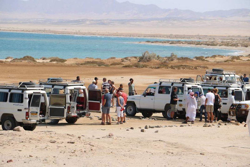 Marsa Alam Wadi El Gemal National Park Full-Day Small Group Tour Rbl3bywO