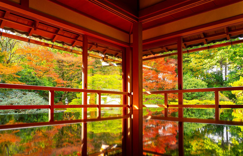 [Shiga In-depth Tour] Miho Museum, Old Bamboo Forest Garden or Hieisan Shrine, Lake Biwa Shirahige Shrine Water Torii Gate (Roundtrip from Osaka / Kyoto) ucbJCaz6