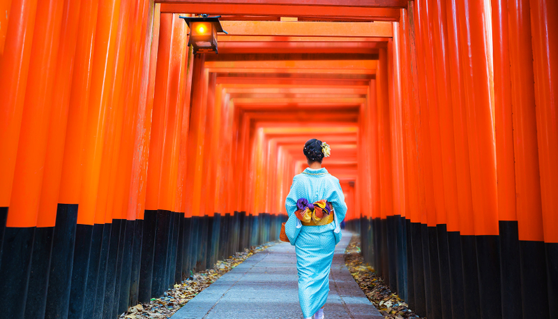 Kiyomizu-dera, Kinkaku-ji, and Fushimi Inari One-Day Tour cG8dKPeJ