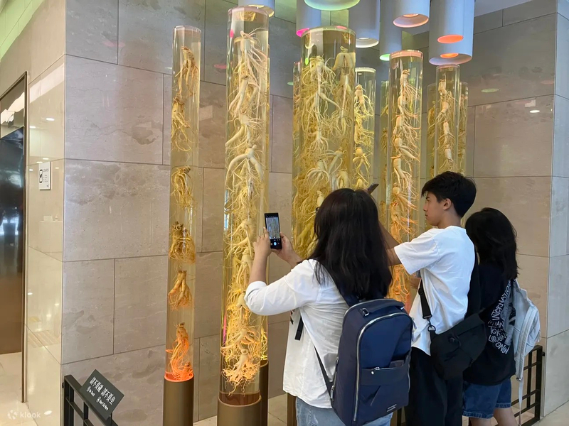 Highlights of Seoul: Deoksugung Palace & N Seoul Tower YMK2i9FM