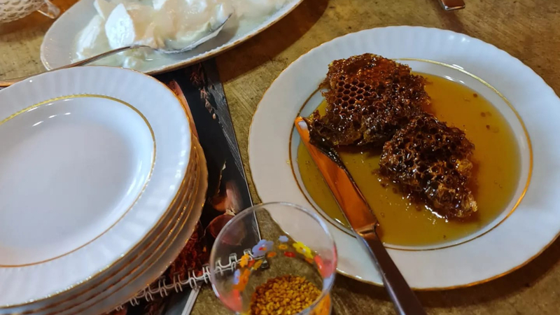 Beekeeping Experience with Honey Tasting in Cappadocia ya4N6p8h