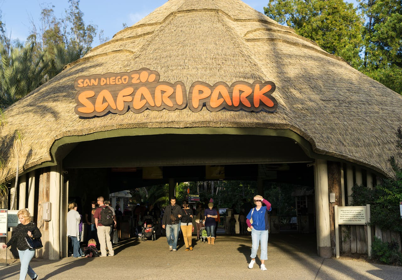 San Diego Zoo Safari Park Ticket rPMprUAT