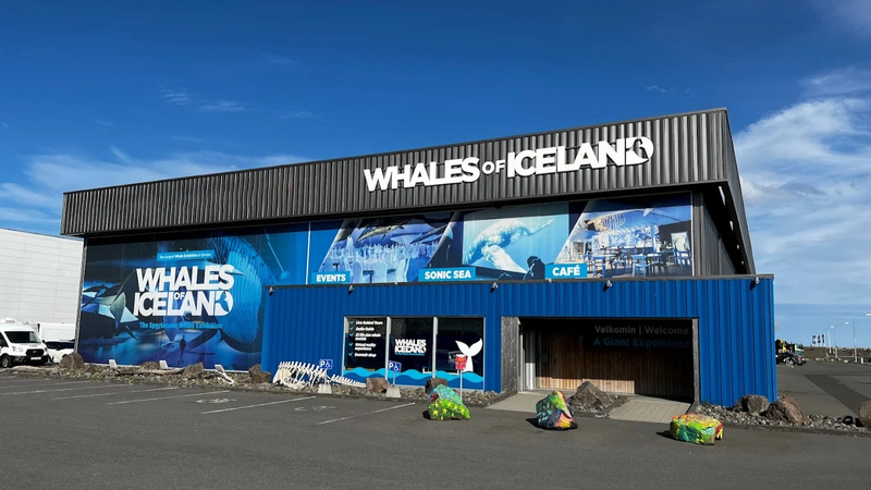Whales of Iceland Museum Ticket in Reykjavik 399xUDHQ
