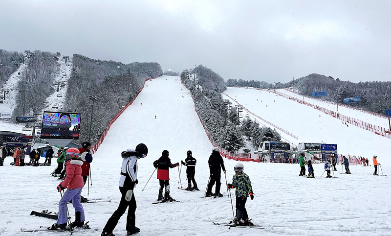 Vivaldi Park Ski World Full-Day Ski Experience OBb02loO