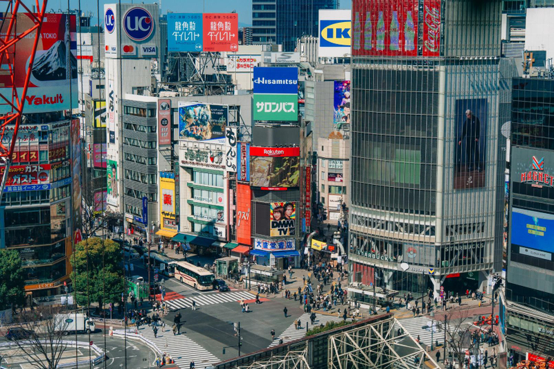 Tokyo Early Morning Tour Asakusa Meiji Shrine and Tsukiji Market VOEnswhE