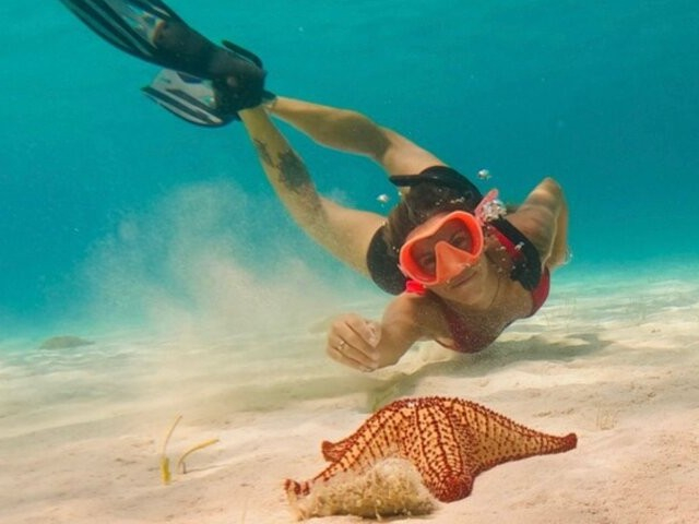 Cozumel Palancar, Cielo, Cielito Half-Day Snorkeling 1svaftTS
