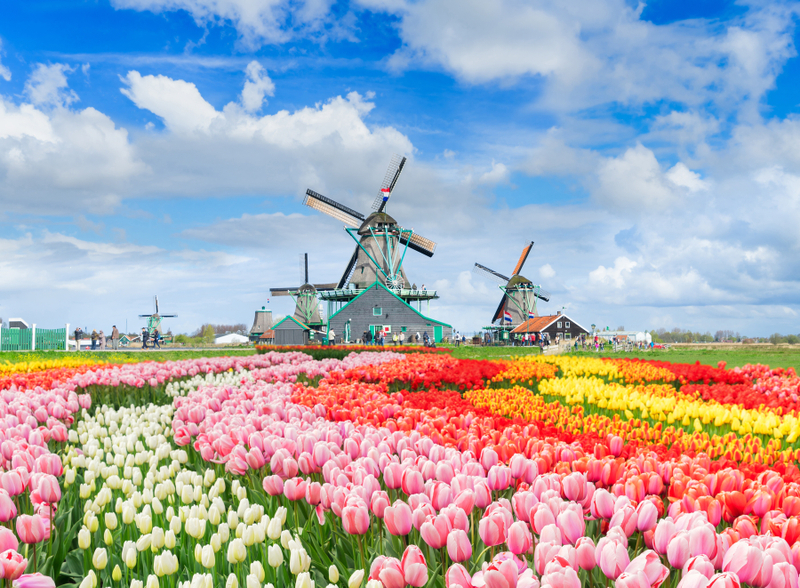 Day Trip to Zaanse Schans, Volendam & Marken I1ZUw9u6