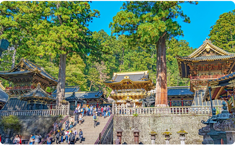 Tochigi Nikko Mountains and Rivers Secret Tour | Toshogu Shrine, Irohazaka Winding Road, Lake Chuzenji, Kegon Falls Day Trip | Departures from Tokyo/Shinjuku VS8S03Ee
