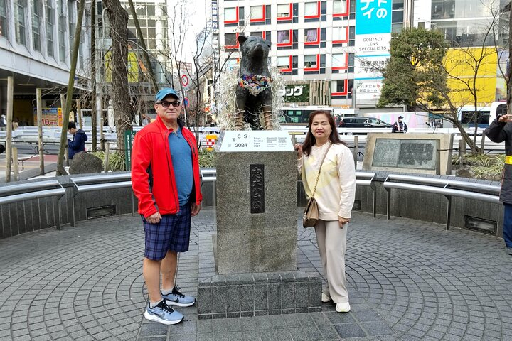 Tokyo 7 Hours Tour Licensed Guide and Vehicle NRT Airport Pick up UfANFqoR