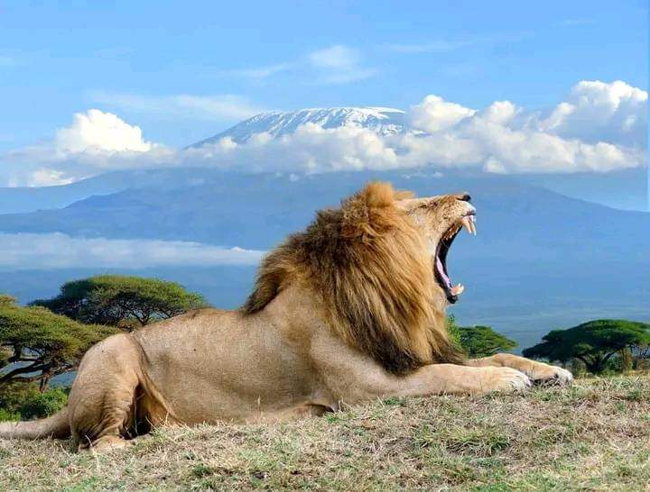 Amboseli National Park 3-Day Private Safari 78iWlFCY