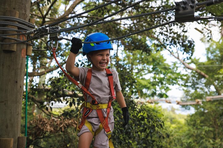Launceston Hollybank Junior Tree Ropes Course 4pyqrifW