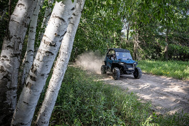 RZR Adventure to Sawtelle Peak TL5QCNjX