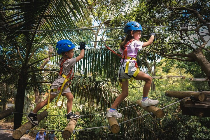 Canberra Junior Tree Ropes Course ts8CQn0r