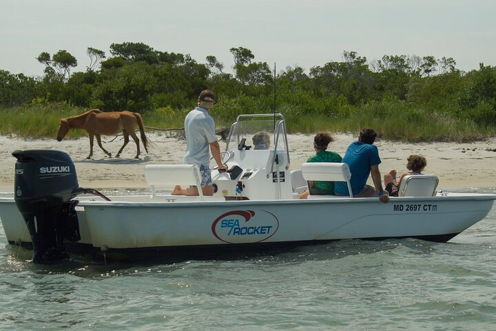 75 Minute Private Party Back Bay Sunset Cruise in Ocean City, MD 9nnRoZcD